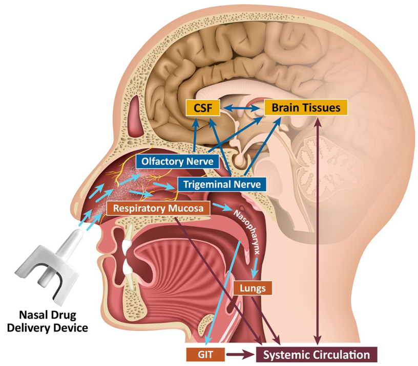 Nasal Drug Delivery Device